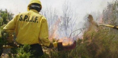 Millonario financiamiento para combatir incendios forestales