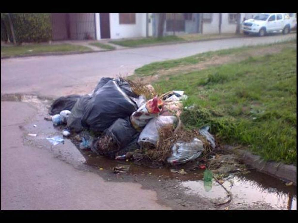 Vecinos piden a la comuna limpiar el minibasual de Medus y Gobernador Quir�z