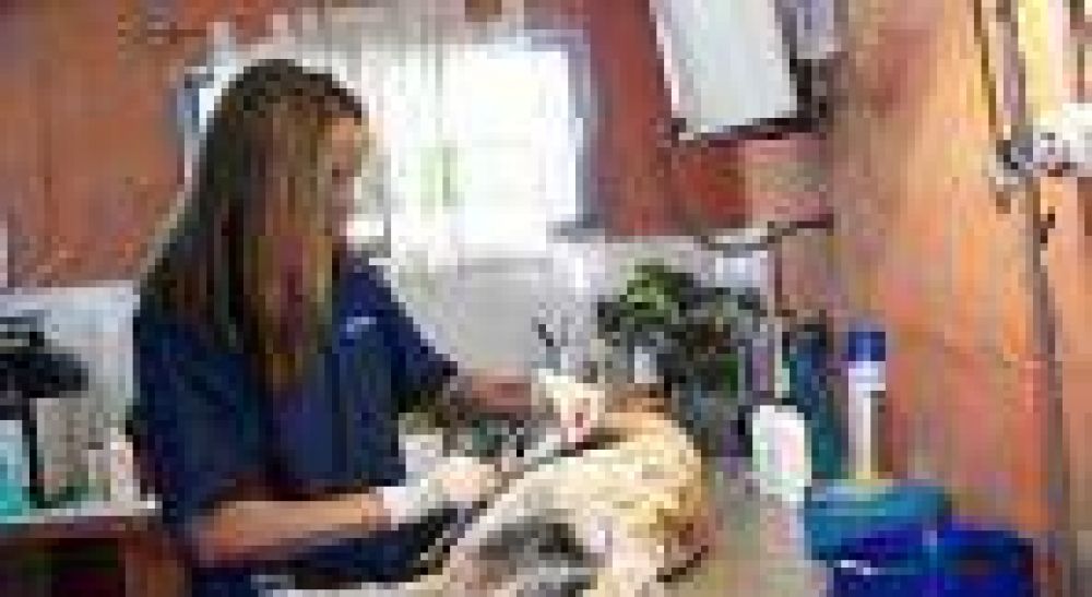 Invitan a la comunidad a sumarse a la campa�a de esterilizaci�n