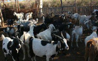 Electrificaci�n rural por m�s de $40 millones