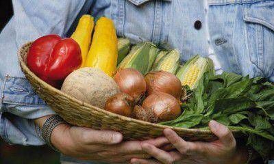 Llega "Mendoza Green Market", una feria de productos y bebidas saludables