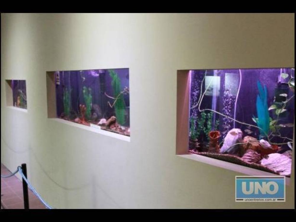 El primer acuario de Entre R�os est� en un museo de Paran�