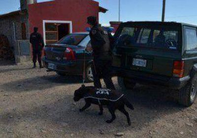 Secuestran medio kilo de coca�na y 3 de marihuana 