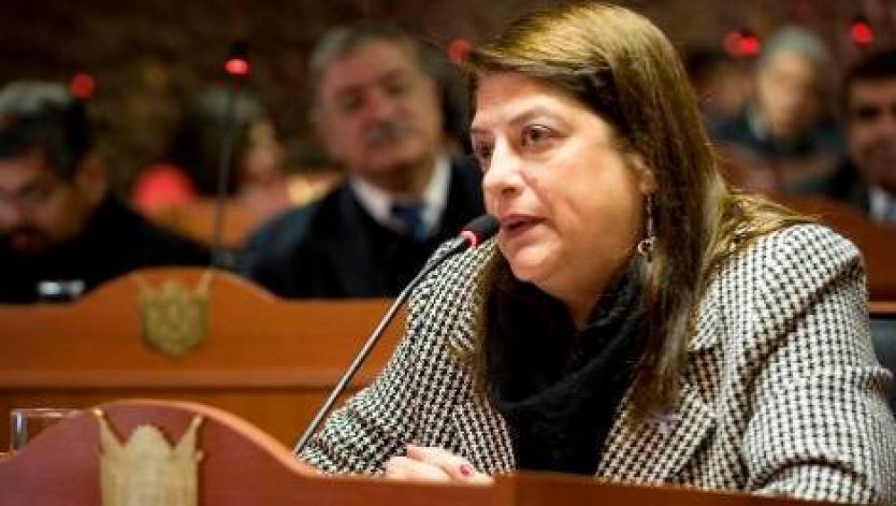 Moreta propone un acuerdo multipartidario por Potrero del Clavillo