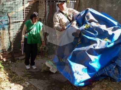 Dengue: prev�n un brote mayor para el a�o pr�ximo