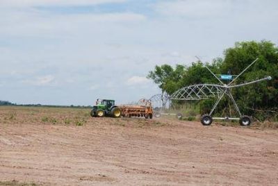Monitoreo de los lotes de algod�n de alta densidad con tecnolog�a de punta