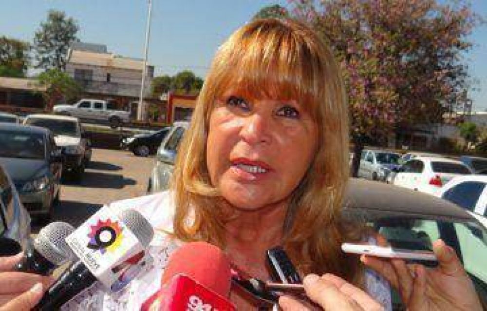 "Queremos llevar a toda la provincia lo que hacemos en Resistencia"