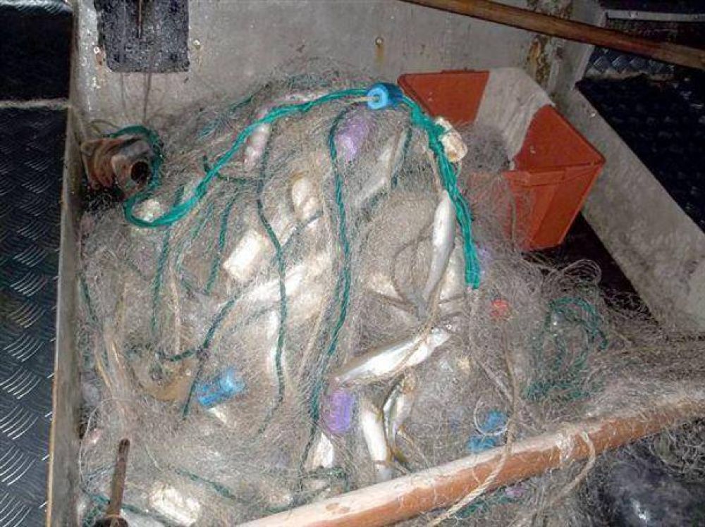 Secuestran una red con 300 kilos de pescado