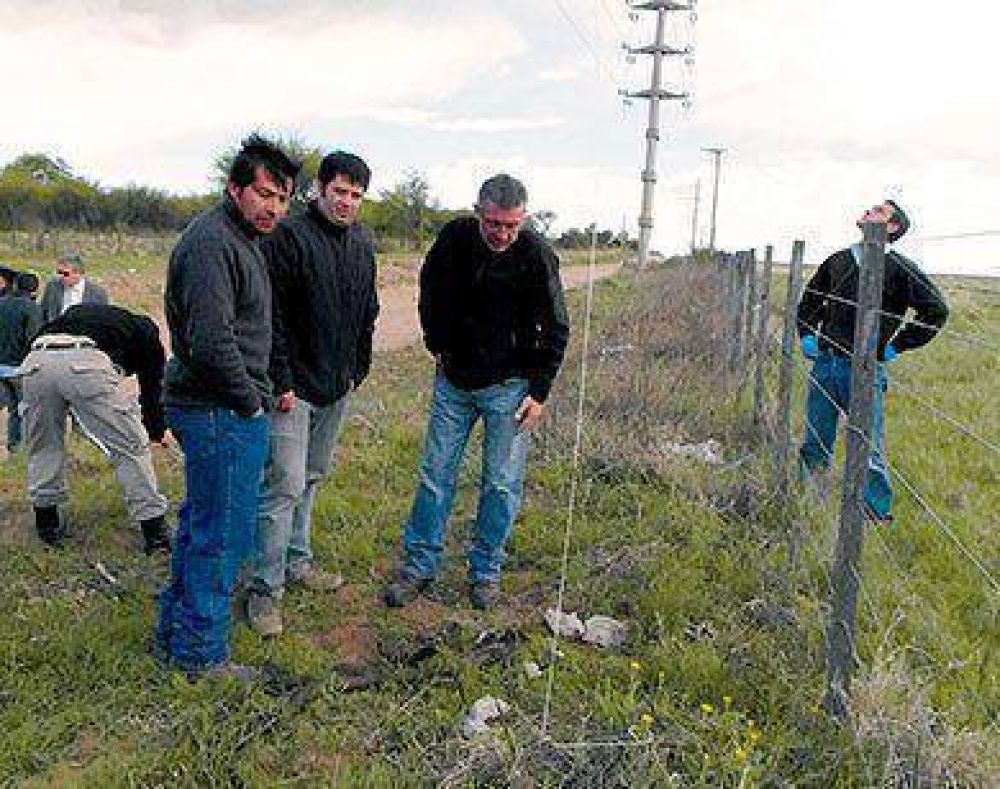 Los cortes de energ�a fueron por sabotajes