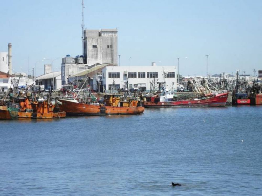 Duro panorama de la pesca en el pa�s