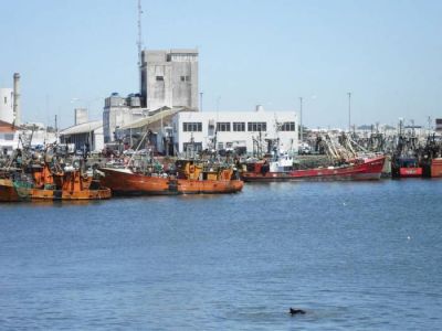 Duro panorama de la pesca en el pa�s