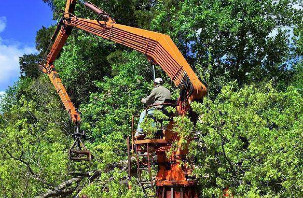 Limpieza y mantenimiento de r�os y arroyos en el Delta de San Fernando