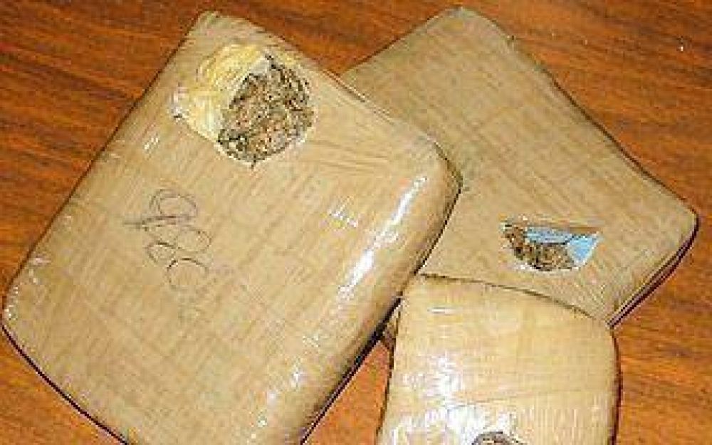 Secuestraron casi 30 kilos de marihuana en una casa de Monte Grande
