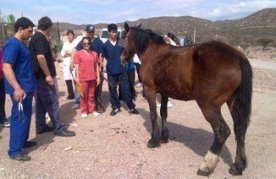 Godoy Cruz: acciones para beneficiar a carreteleros del pedemonte 