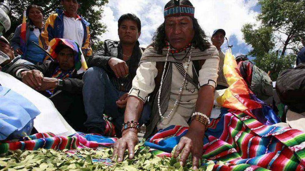 Bolivia retrasa informe sobre el consumo legal de coca