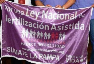Encuentro por la ley de fertilizaci�n asistida