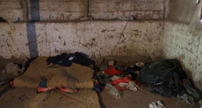 Dorm�an en el piso y entre los perros