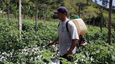 Habr�an obstaculizado una investigaci�n sobre la contaminaci�n por plaguicidas en Corrientes