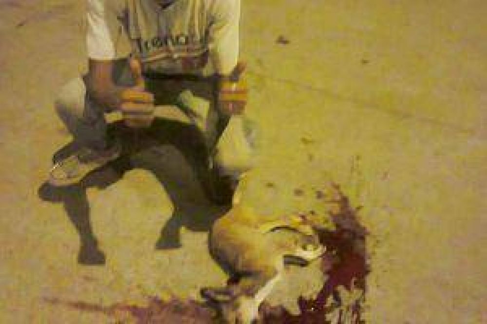 Mat� a un perro salvajemente, hizo fotos y las subi� a Facebook.