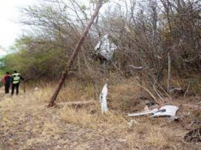 Una salte�a "vol�" con su auto y qued� entre las ramas de un �rbol