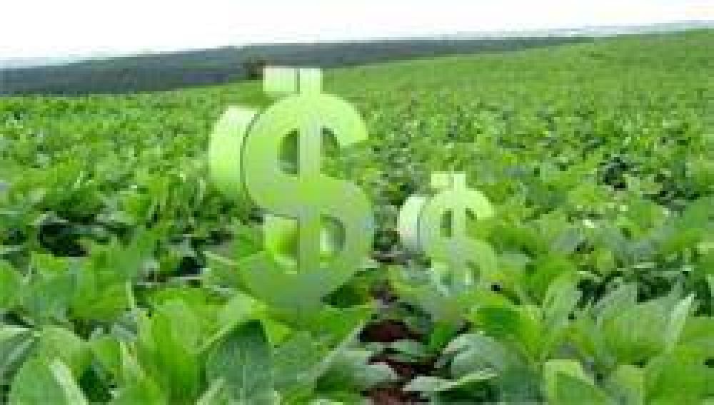Una nueva campa�a r�cord en superficie de soja