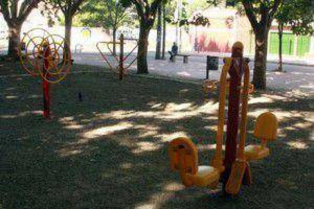Colocan plantas y construyen canteros en la Plaza San Mart�n