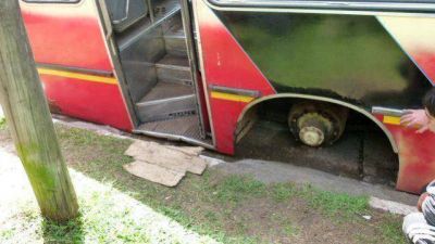 Zaf� el gato y el colectivo apret� sus piernas