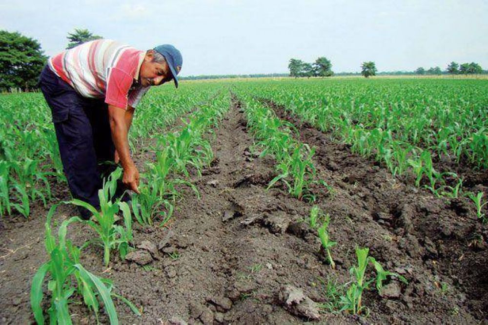El presente y el futuro econ�mico del agro se debaten en San Juan