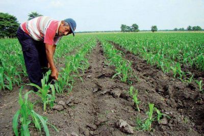 El presente y el futuro econ�mico del agro se debaten en San Juan