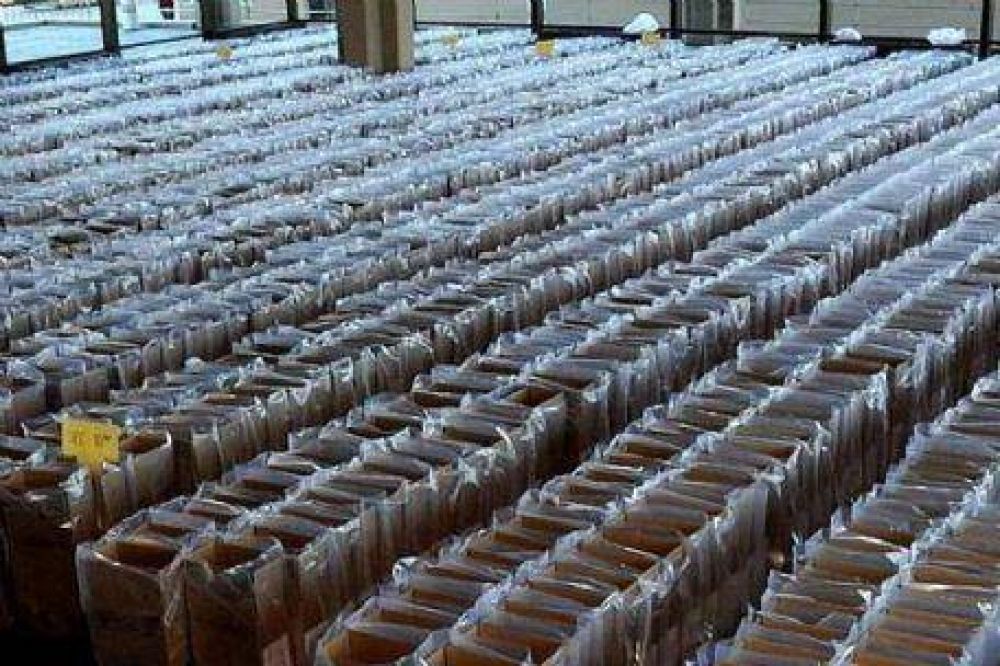 La Plata: Datos oficiales para concejales y diputados provinciales