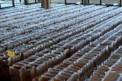 La Plata: Datos oficiales para concejales y diputados provinciales