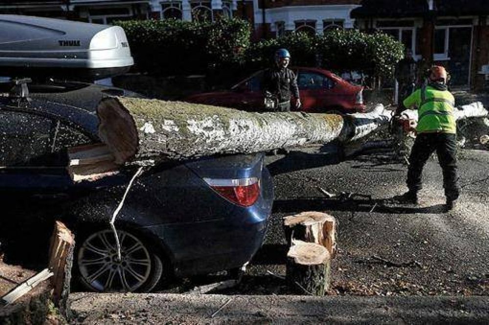 Miles de hogares sin luz el d�a despu�s del temporal en el norte de la regi�n