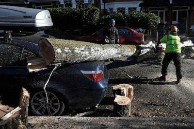 Miles de hogares sin luz el d�a despu�s del temporal en el norte de la regi�n