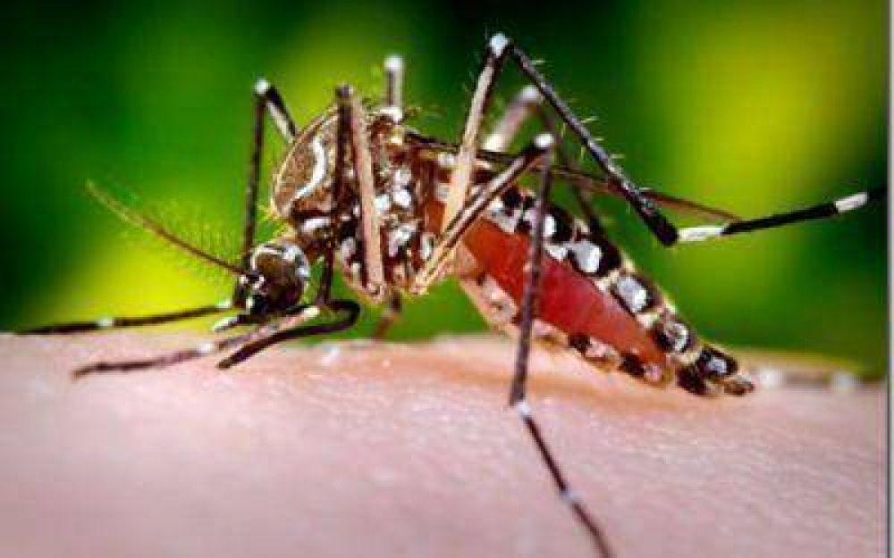 Lanzaron campa�a contra el dengue en 3 de Febrero