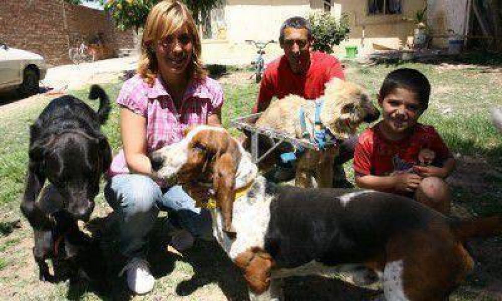 Guarder�a canina: hay m�s oferta y la demanda se triplic� este a�o