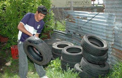 Lanzan campa�a contra el dengue y advierten que el contexto regional es preocupante