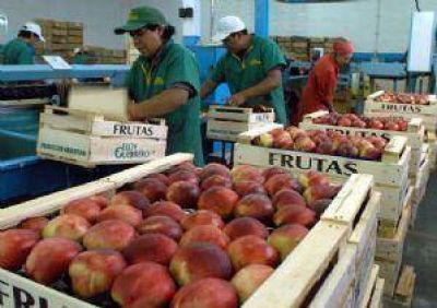 Productores de durazno critican a la industria y piden dolarizar sus precios