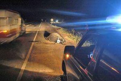 "Por un animal suelto en la ruta, mi marido puede perder sus piernas"