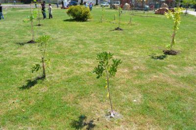 Avanza la jerarquizaci�n y puesta en valor del Parque C�vico