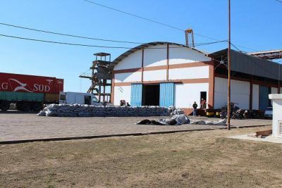 Empresa salte�a exportar� rollizos de madera desde el Puerto de Formosa