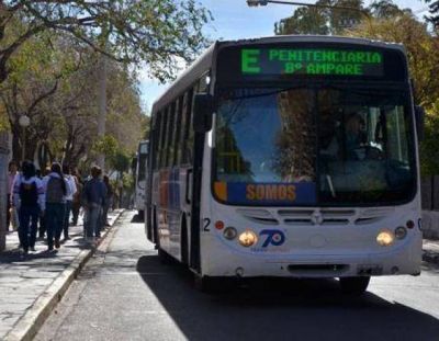 Dos l�neas de Transpuntano modifican sus recorridos