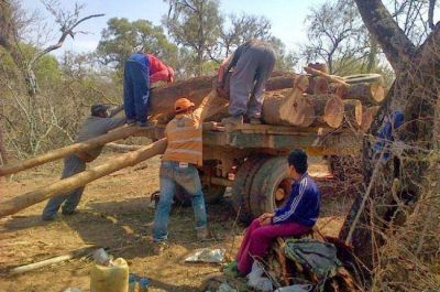 Por irregularidades, echan a tres agentes de Bosques y suspenden a otros dos