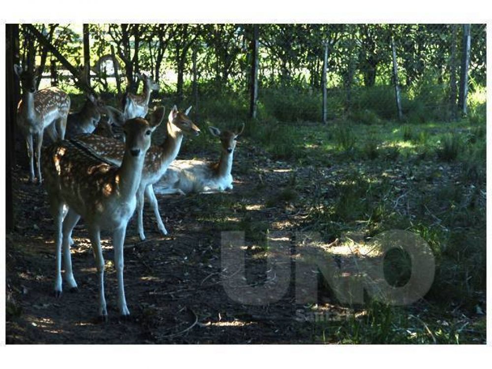En las redes sociales piden cerrar la Granja La Esmeralda