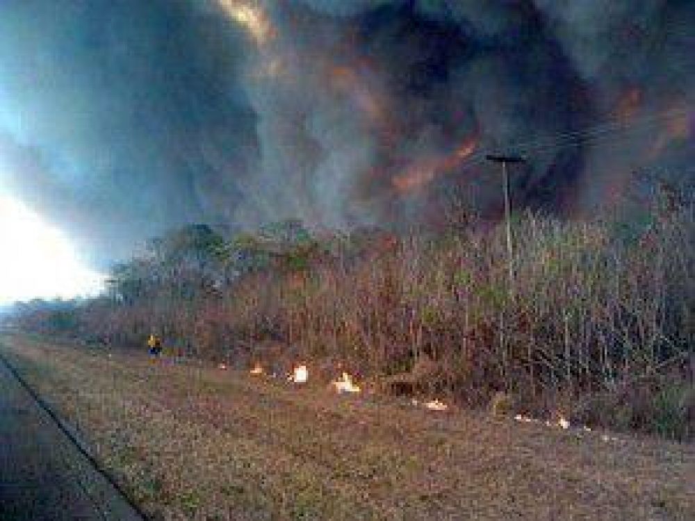 Tratan de controlar un incendio en la zona del Parque Nacional Calilegua