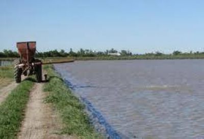 Logran exitosa experiencia en Formosa para la reproducci�n de pac� en ambiente controlado