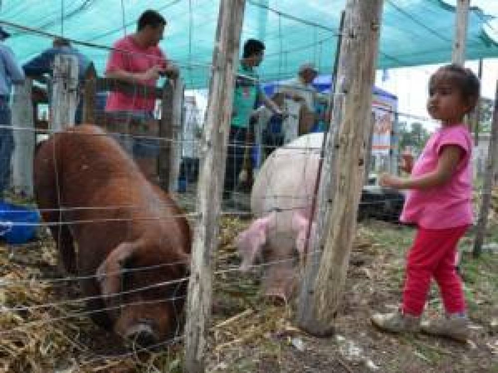 Abri� sus puertas la feria agr�cola ganadera de San Luis