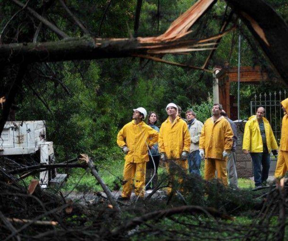 �rboles ca�dos y cables cortados es el saldo de la tormenta hasta el momento