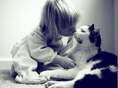 Operativo de castraci�n de mascotas