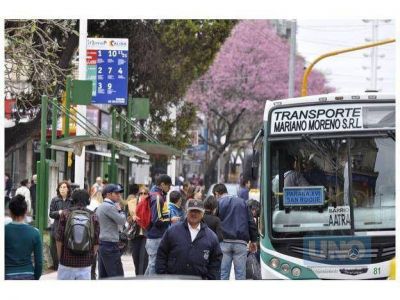 Se podr�n consultar recorridos y frecuencias del transporte urbano en la web municipal