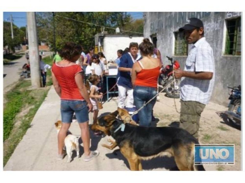 El �rea de Zoonosis organiz� una campa�a por los barrios